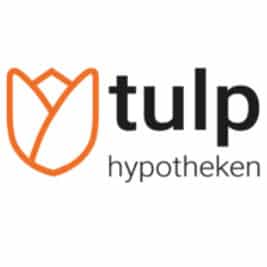 tulp